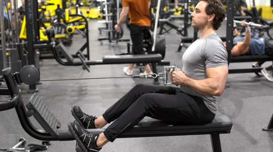 Cable Rows vs Dumbbell Rows: Which Builds a More Muscular Back for Beginners?