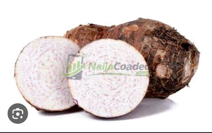 Here Are The Amazing Health Benefits Of Eating Arrowroots That People Don’t Know About