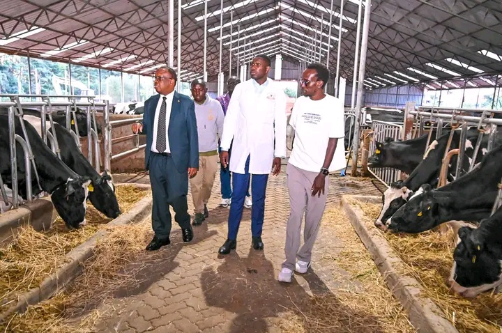 Inside PS Belio Kipsang’s Multi-Million Dairy Farm Toured By PS Ouma Oluga (Photos)