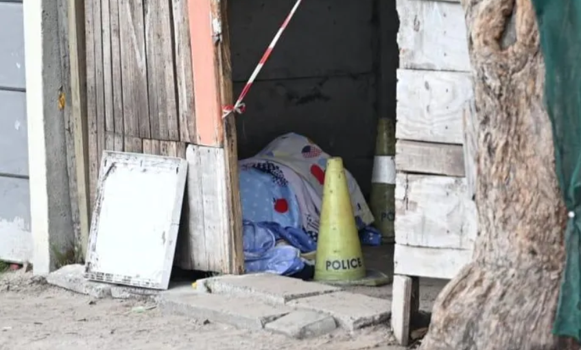 Gunmen chasing alleged gangster kill mother and neighbour in their own yard
