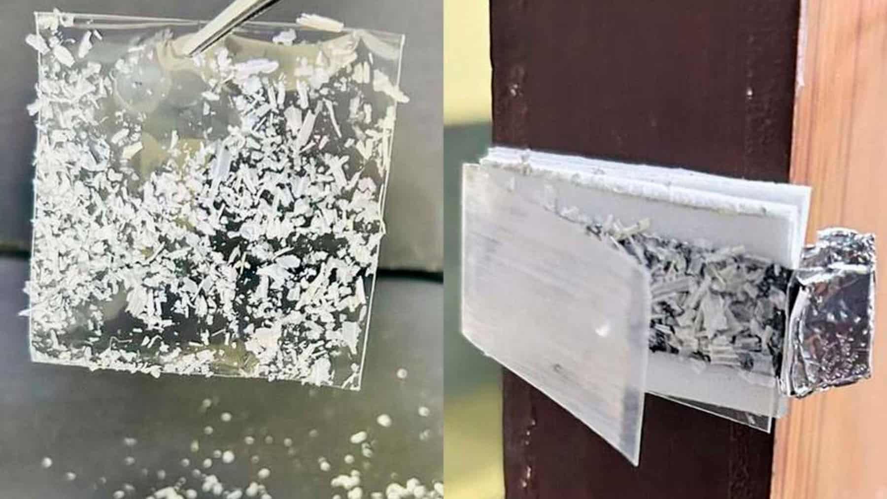 Garlic peel waste generates 400 volts and powers a working home security system in laboratory tests
