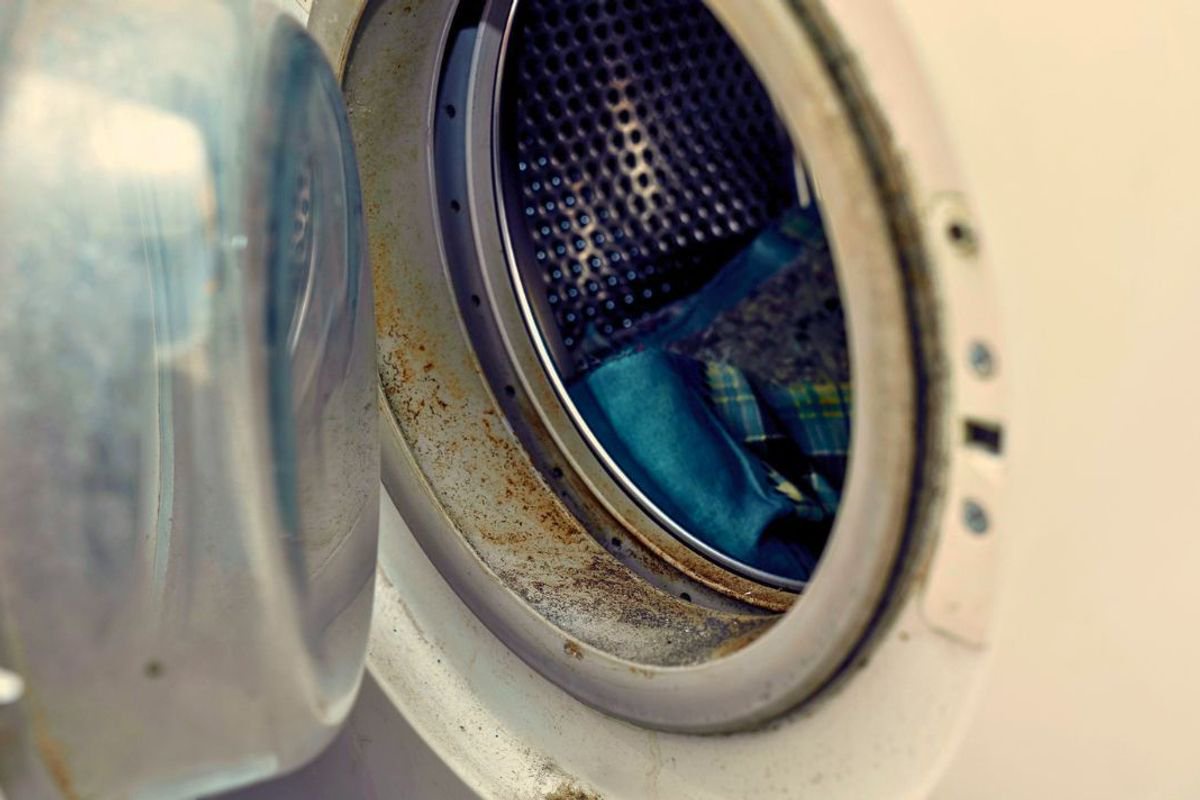 Mould will never appear in your washing machine if you do 1 simple task after every use