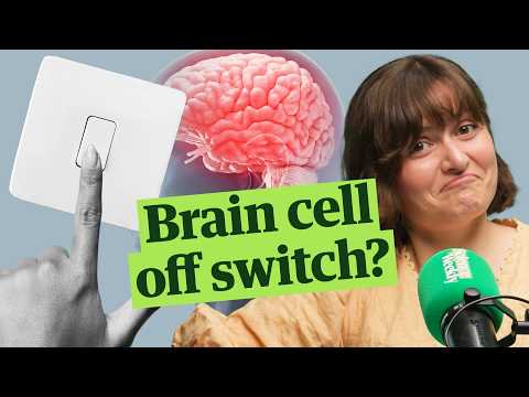 Nobel prize in medicine 2026: unlocking the mysteries of the brain