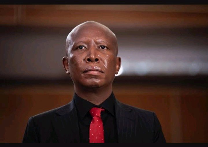 Julius Malema’s Own Words Come Back To Bite Him Ahead Of 2026 Election