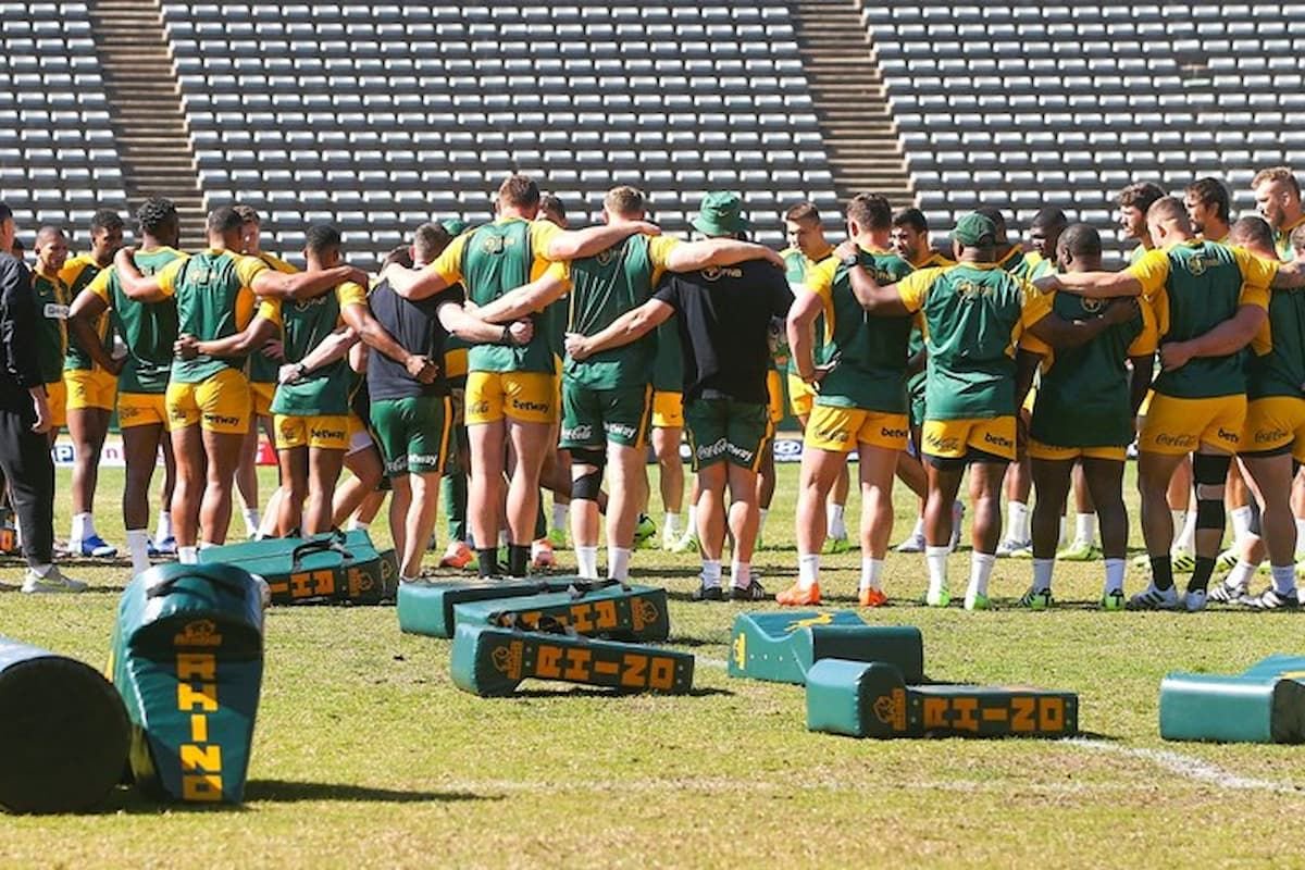 Heyneke Meyer suggests ‘bolter’ for Springboks