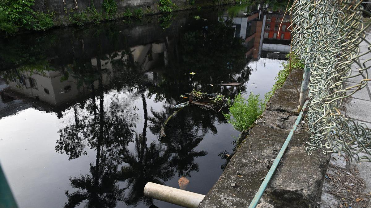 Rights panel orders authorities to address safety concerns over Thevara-Perandoor Canal in Keralam’s Kochi
