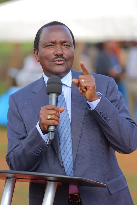 “Stop Involving Those Idiots in Our Business?” Kalonzo’s Stern Message to Ukambani Leaders