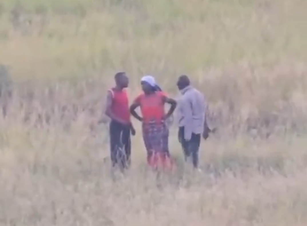 Two men and a woman filmed in apparent sexual encounter in open field