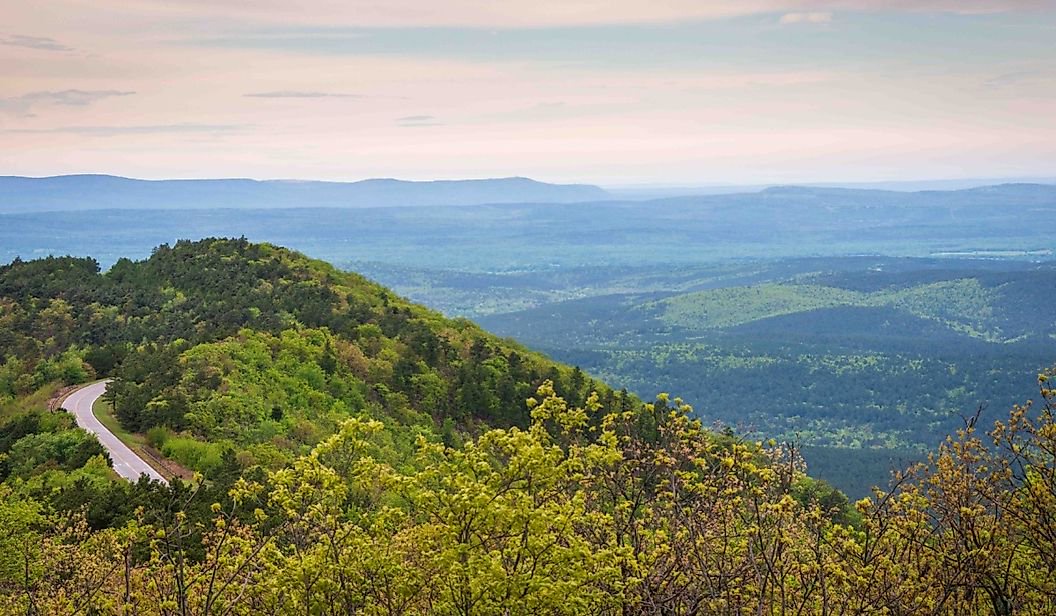 The National Forests With The Most Copperheads