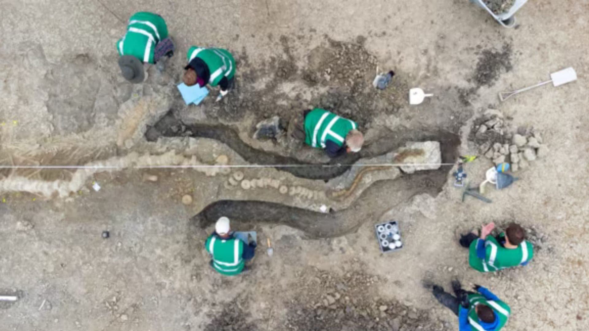 A man was draining a lagoon for routine work when a 33-foot sea monster emerged from the mud, the most complete fossil of its kind in Britain