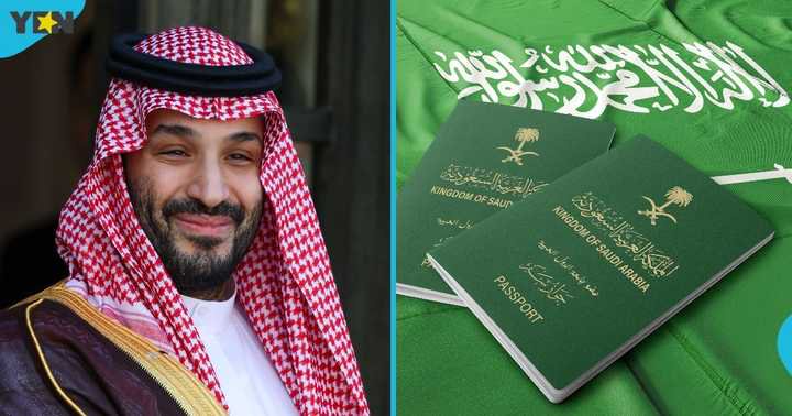 Saudi Arabia Lists 3 Categories of Foreigners Eligible for Special Talent Residency