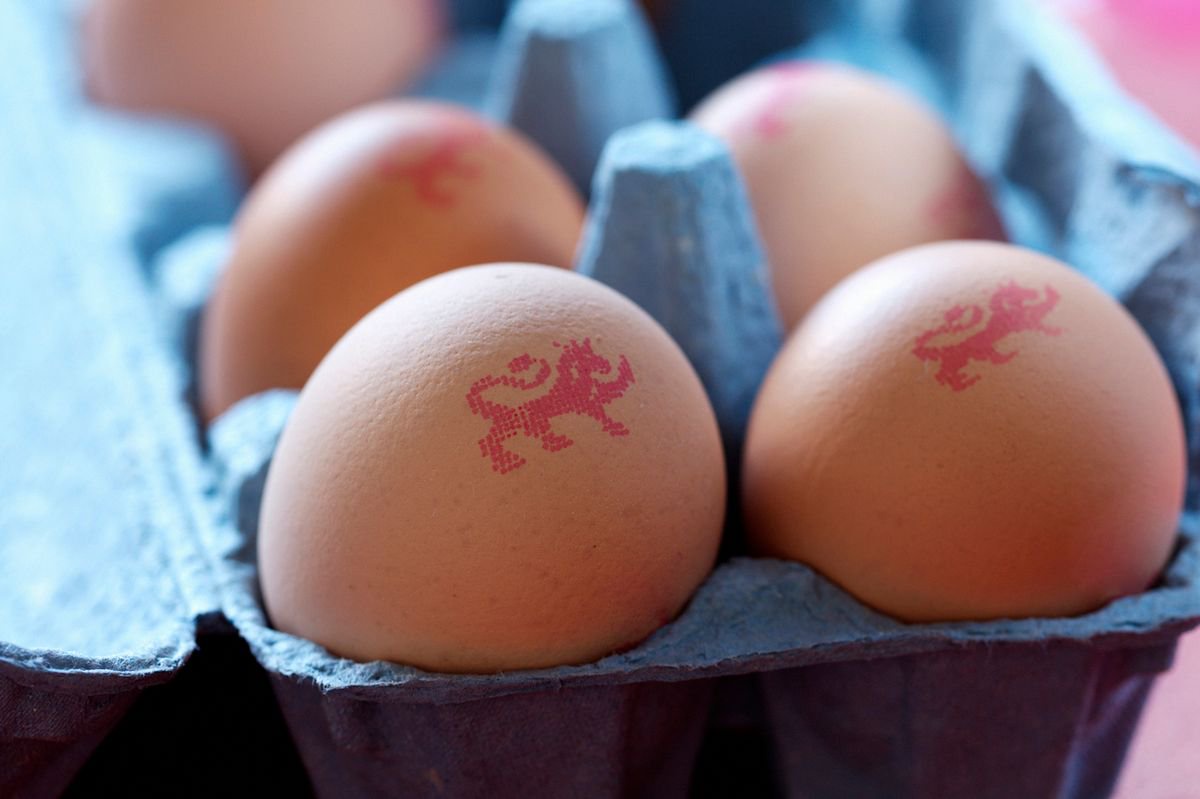 UK households told to ‘dispose’ of eggs from European country as salmonella identified