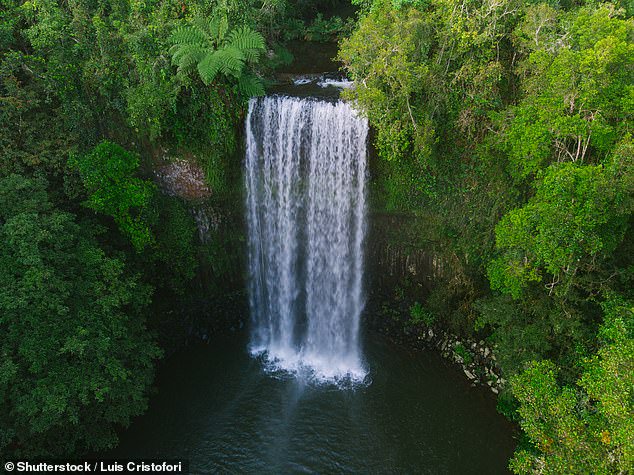 Japanese tourist drowns at popular Aussie tourist spot Millaa Millaa Falls