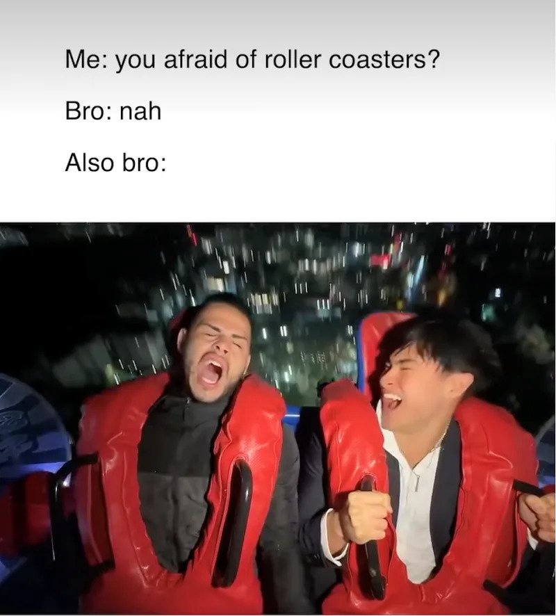 24 Unhinged Roller Coaster Pictures That Capture the Exact Moment of Pure Regret