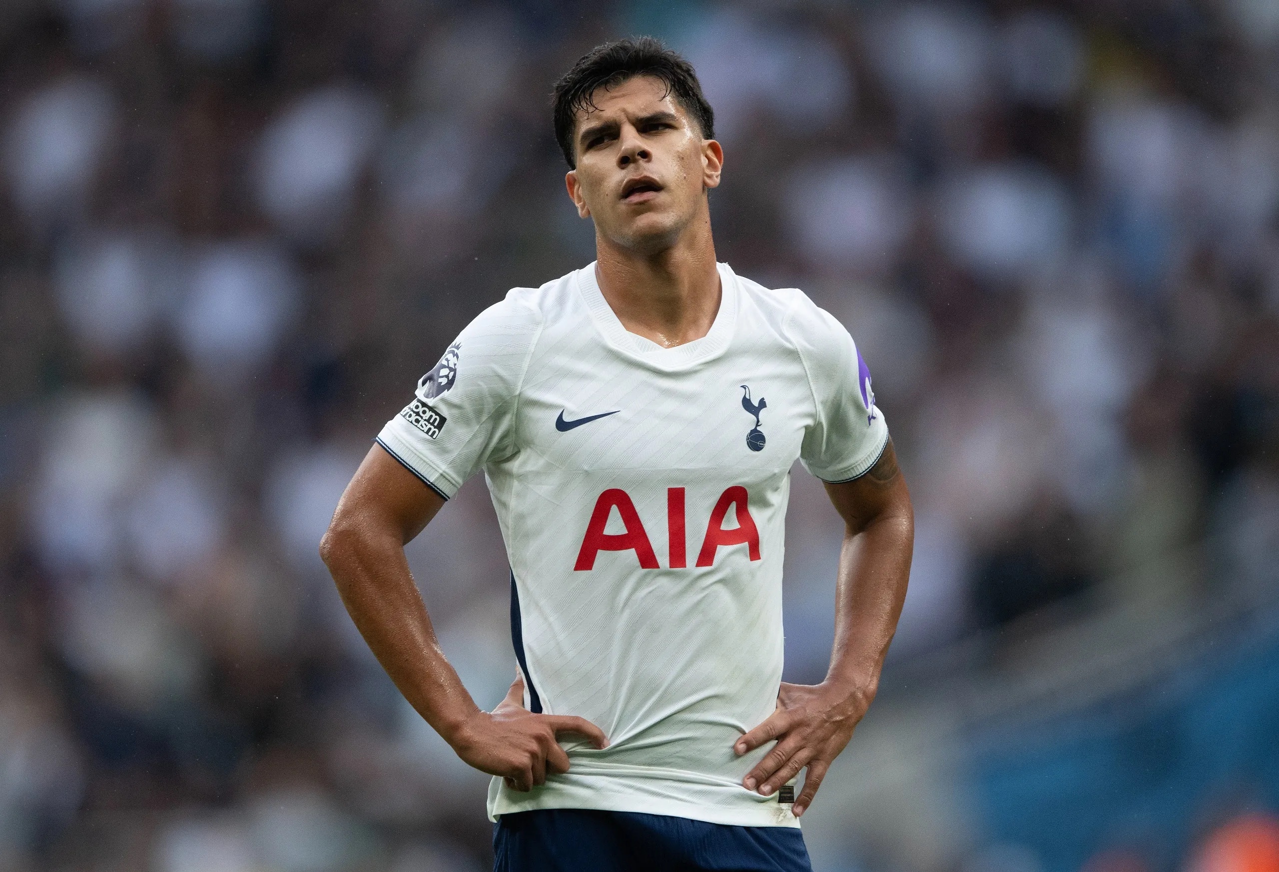Tottenham Hotspur are mistreating their ‘perfect signing’ despite Roberto De Zerbi’s confidence comments