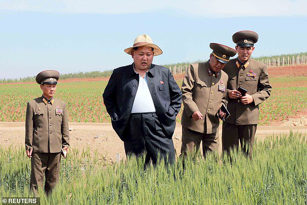 Lobster and steak-loving Kim Jong-un is ‘extremely obese’ after ballooning to 310lbs and at ‘high risk of cardiovascular disease’, spies in Seoul reveal