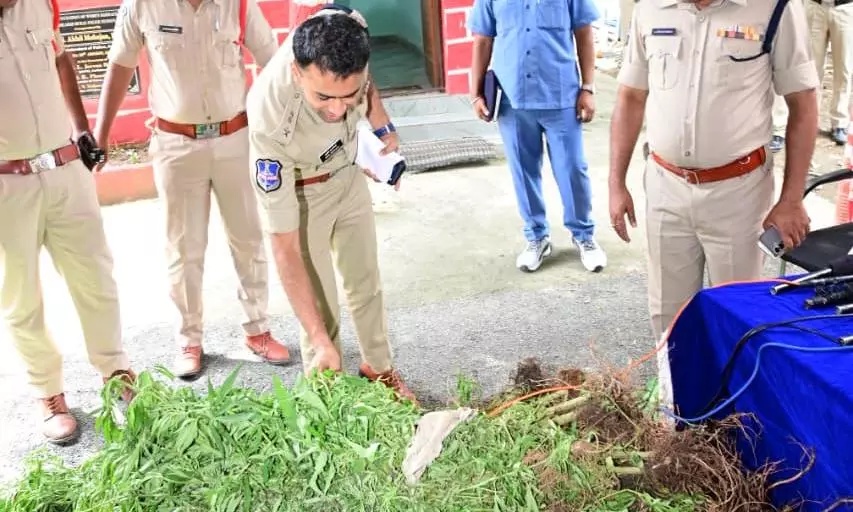 Maharaj Arrested For Raising Ganja Plants, Villagers Attack Police; 3 Cops Injured