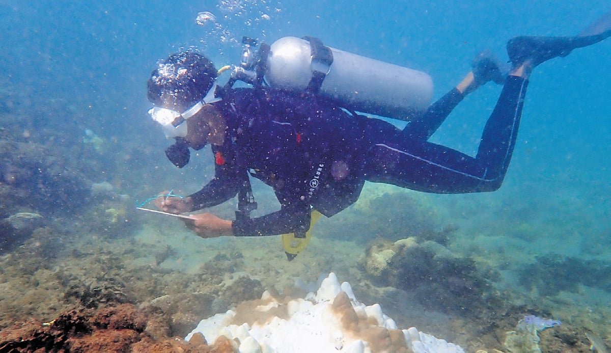 Tamil Nadu’s coral reefs on bleach alert with warming ocean waters