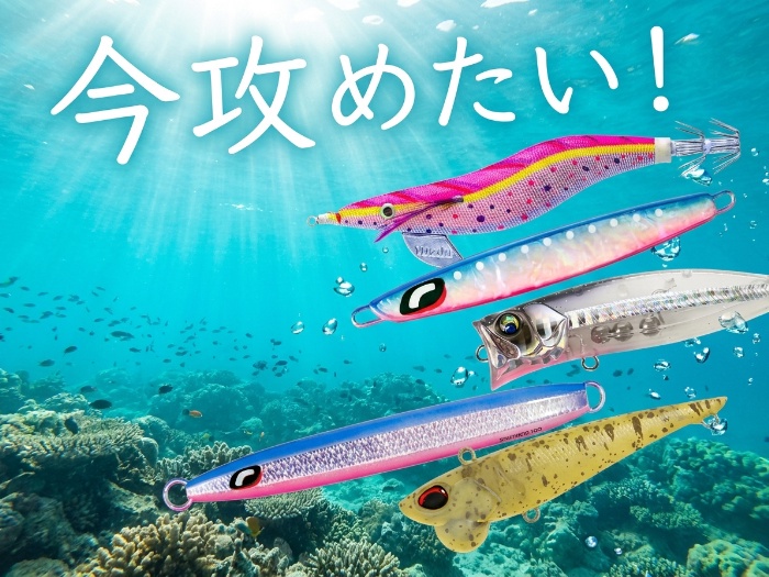 海も川もいま攻めたい。実戦派ルアー厳選レビュー5本