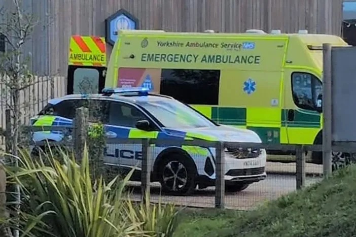 Man ‘jumps into tiger enclosure’ at Yorkshire Wildlife Park as zoo evacuated & witnesses reveal horror scenes
