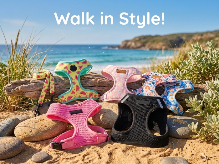 Perfect Gear for Happy Walkies: Exploring Top Dog Harnesses