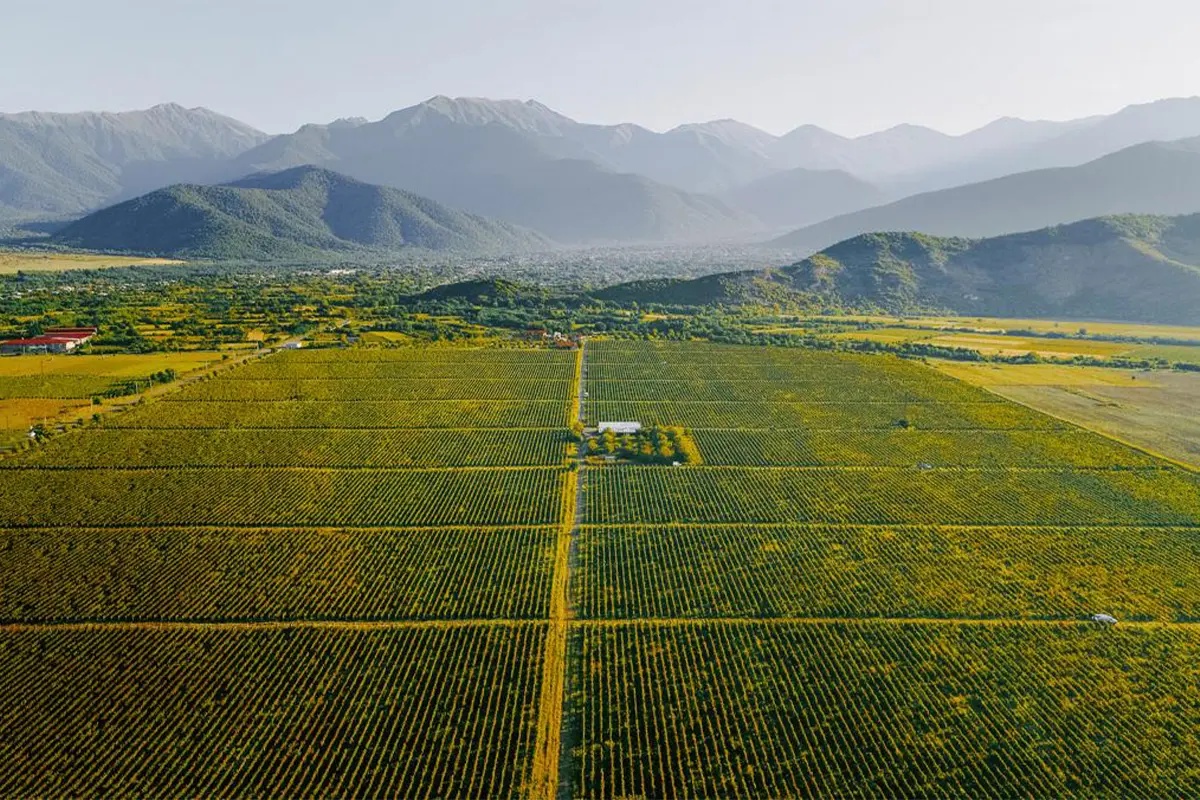 In Georgia, 8,000 Years of Winemaking Influence a New Era of Upscale Wineries and Luxury Tourism