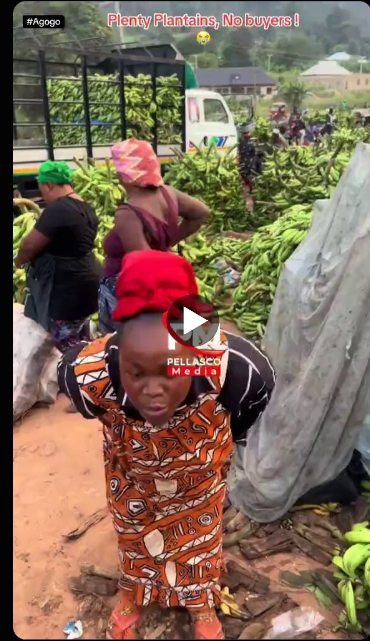 Plenty Of Plantains, No Buyers: Agogo Market Sellers Cry Out As Produce Struggles To Sell