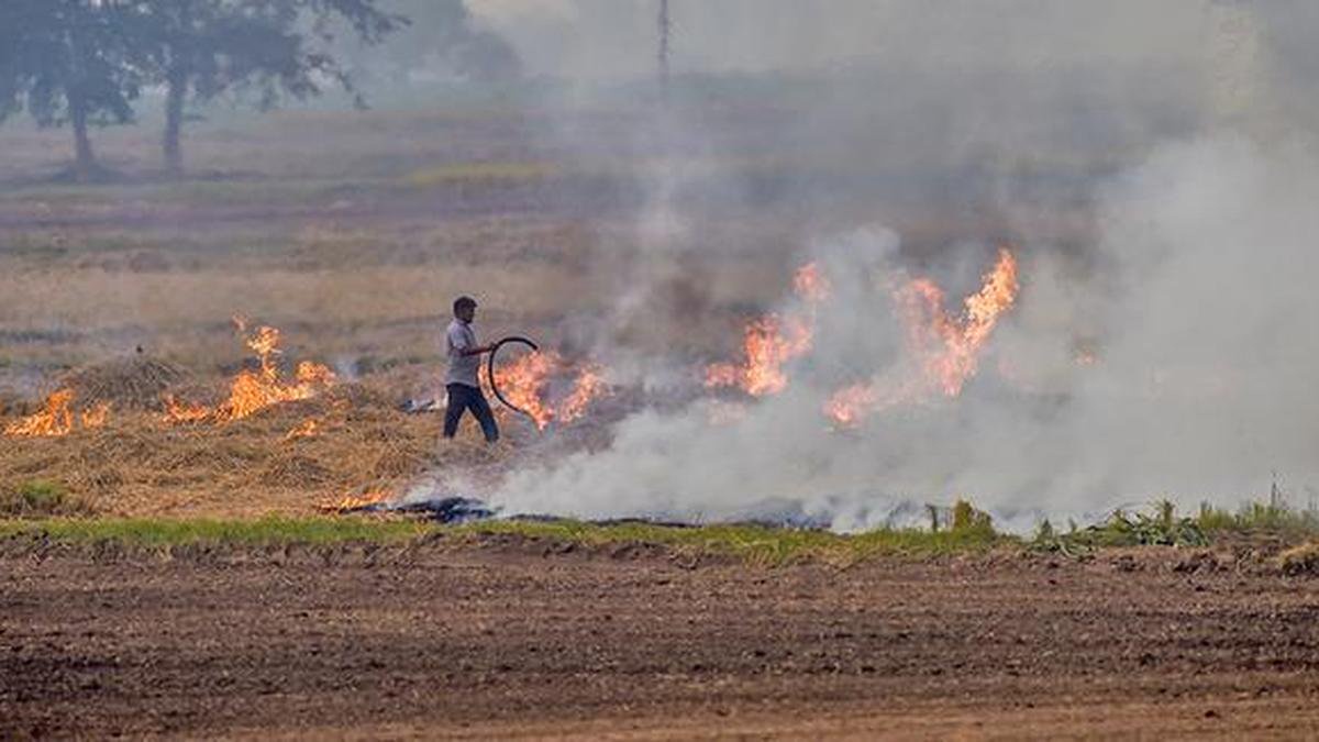 CAQM directs States to focus on vehicular pollution, stubble burning