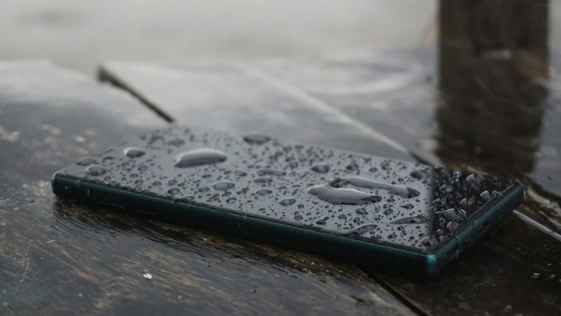 Your Phone Fell Into Water? Don’t Panic — Do These Things First