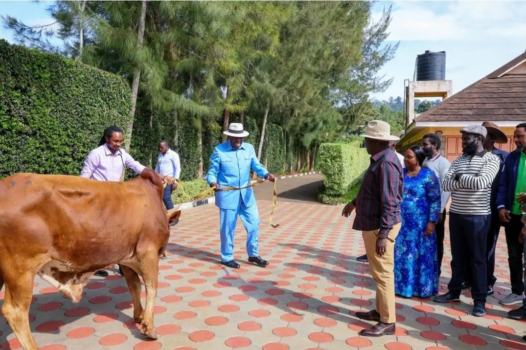 Eugene Wamalwa Storms Wamunyoro With a Bull for Gachagua