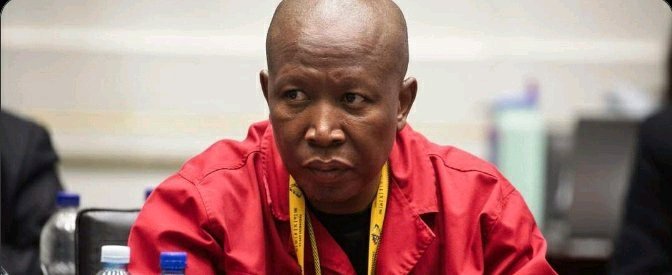 Julius Malema Shockingly Breaks Silence and Begs Judge for Forgiveness