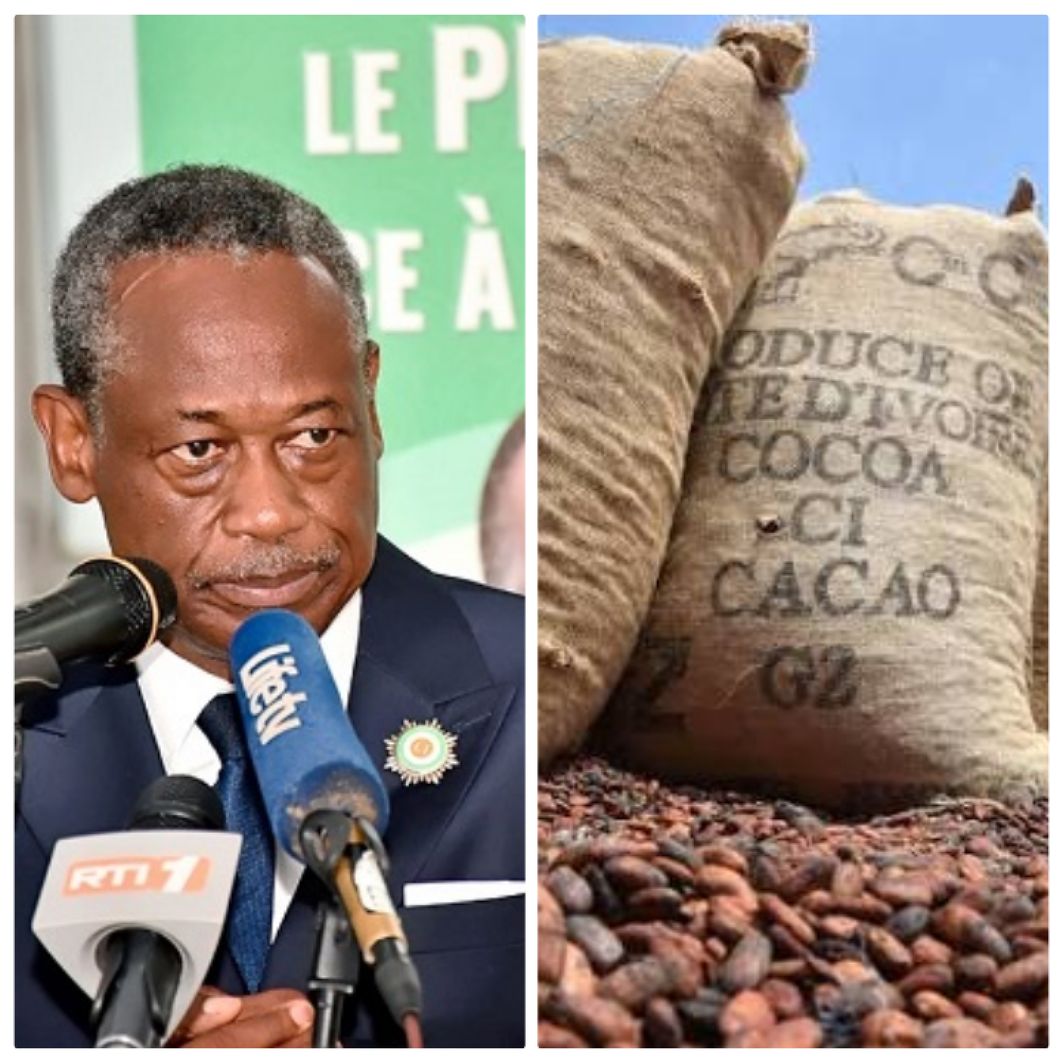 Cacao : À 1.200 FCFA le kilo, la Côte d’Ivoire face au risque d’une fraude difficile à contenir, une porte ouverte vers ses voisins