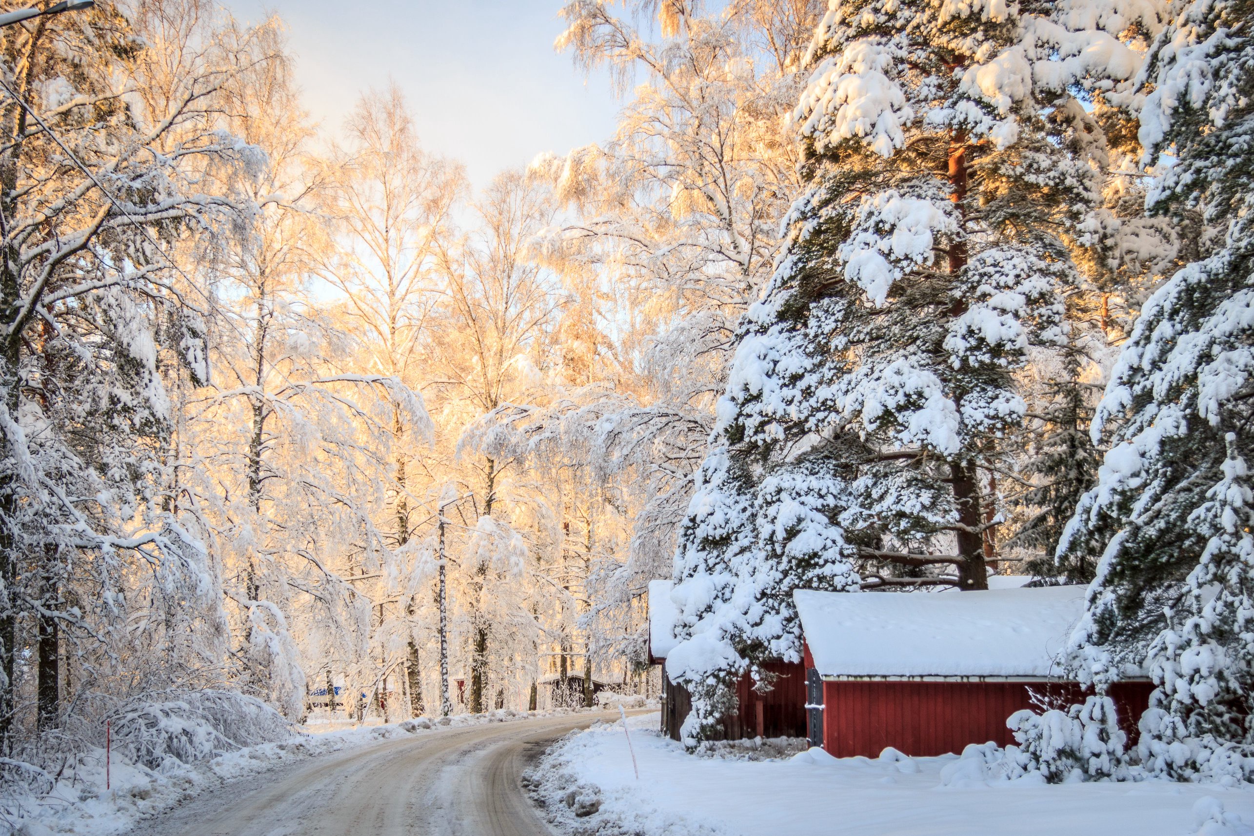 The ‘Farmers’ Almanac’ Winter Forecast Is Here, and It’s Full of Surprises