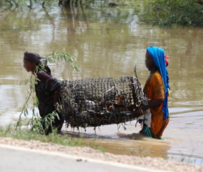 Heavy Rains Cause Flooding in Tana River County as Hundreds of Families Are Displaced