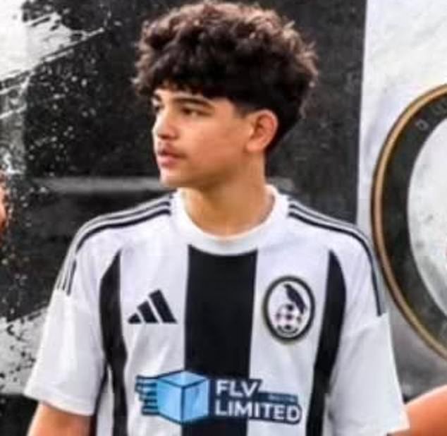 Pictured: Youth footballer, 15, fighting for his life after he and his businessman father were stabbed by masked men in ‘unprovoked’ house raid
