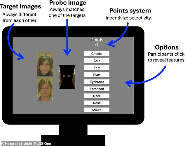 Can you recognise celebrities by their EARS? Take the test – as research reveals forensic experts only need one facial feature to identify individuals