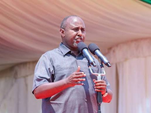 Junet Mohamed Claims It Could Take Small Parities 40 Years to Match ODM’s National Strength