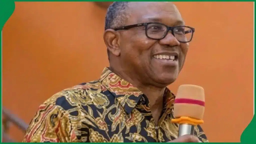 2027: I Don’t Want You To Vote For Me Because I’m Igbo – Peter Obi