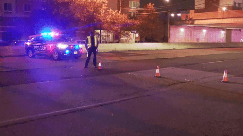 Pedestrian pronounced dead after Springfield hit-and-run crash