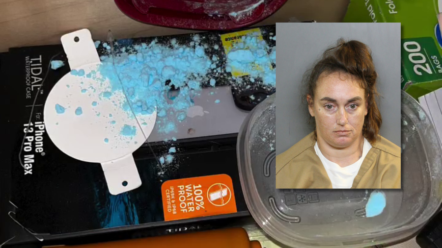Deputies execute search warrant on Port Charlotte home, find almost 60g of fentanyl; woman arrested