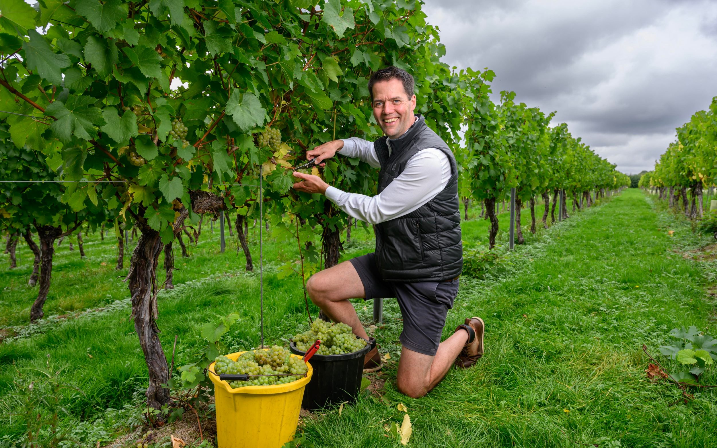 English sparkling wine is going global – here’s how to invest
