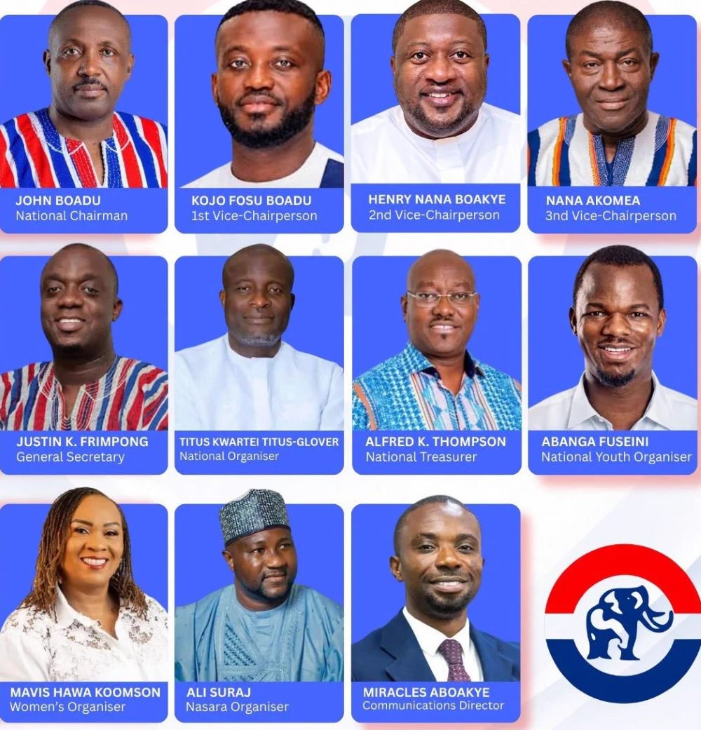 2026 NPP National Executive Elections Full List Results, Vote Counts, Winners and Losers