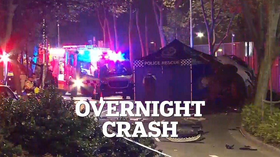 On-duty police officer dies after car crashes into tree