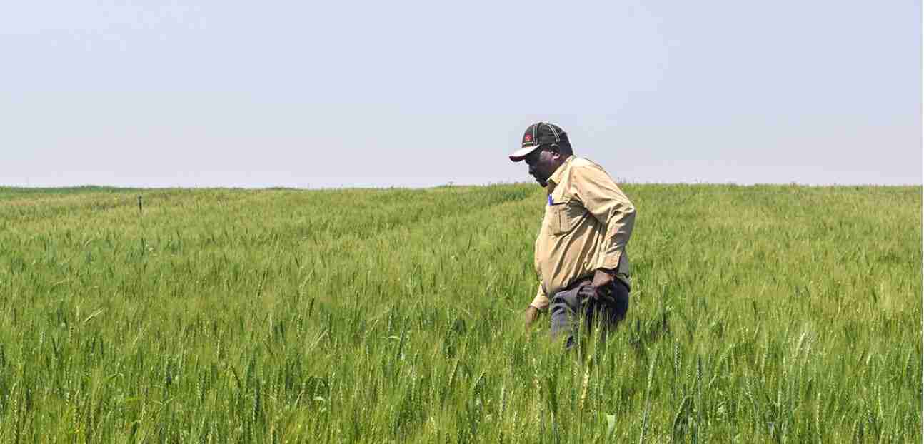 Farmers warned against false starts