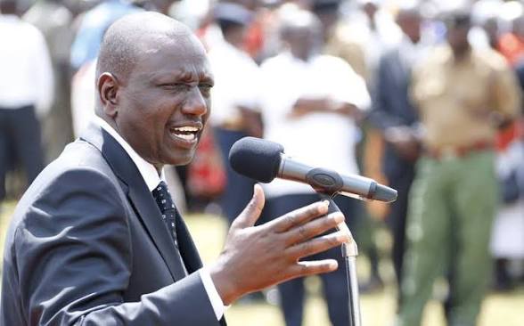 Ruto Reports Drop in Livestock Sexed Semen Cost From KSh8,000 to KSh1,400