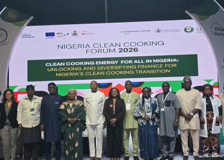 Nigeria Needs More Capital For Clean Cooking Transition — Minister