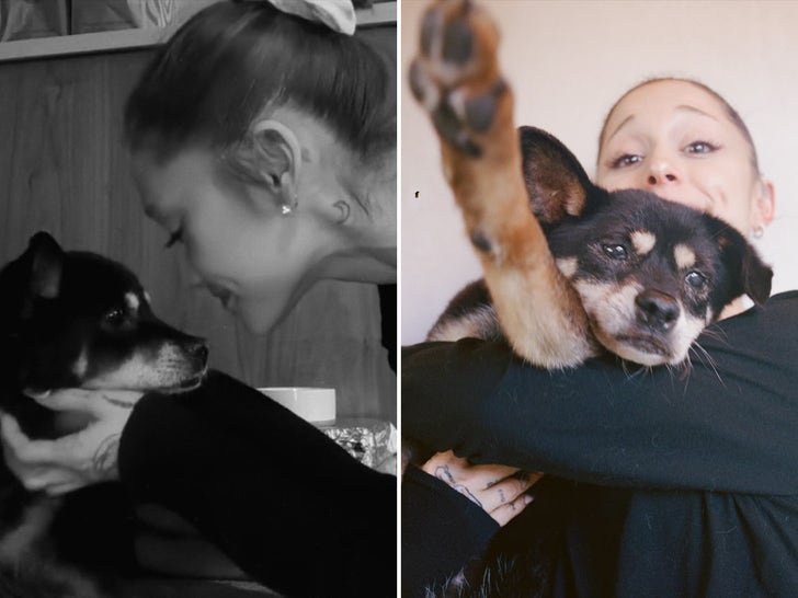 Ariana Grande’s Dog Coco Dead at 17