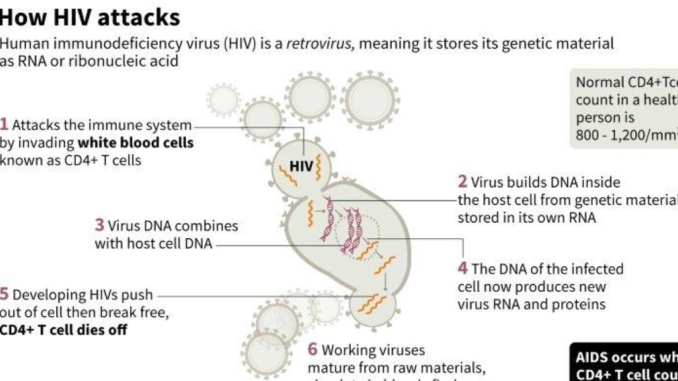 7 Important Facts About HIV That Everyone Should Understand