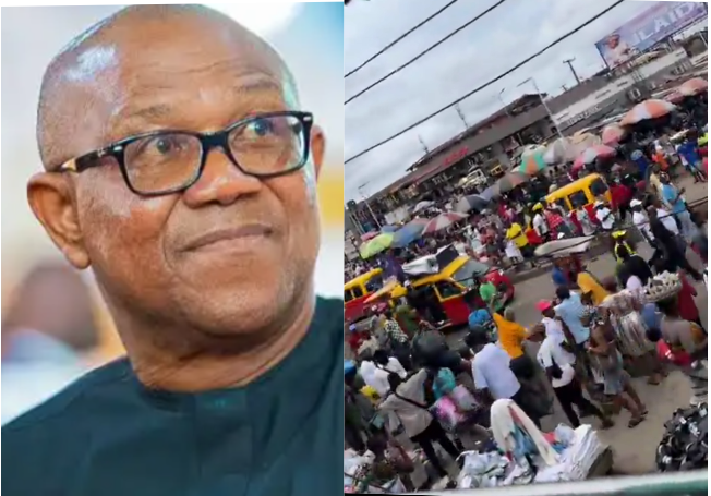 Edo State: NDC Spokesman Reacts To Number Of People Who Trooped Out To Campaign For Peter Obi