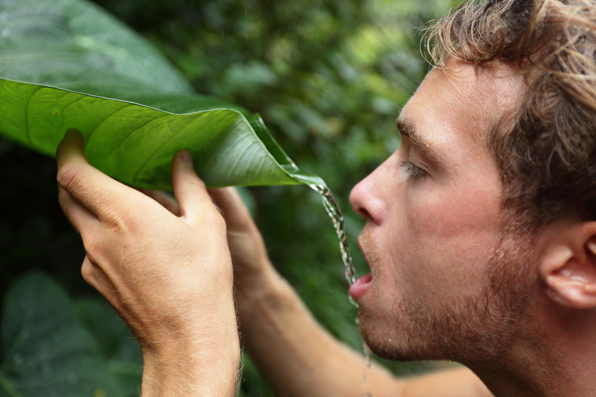 Instead of buying a home, 22-year-old spends life savings on a chunk of raw Colombian jungle